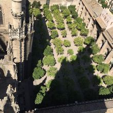 大聖堂のオレンジの中庭