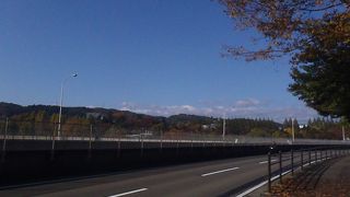 街路路はイチョウが