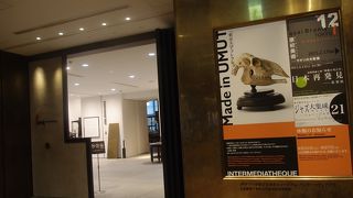 東京大学の膨大な標本資料の一部を気軽に見ることができるインターメディアテク