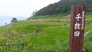 とてもよかった