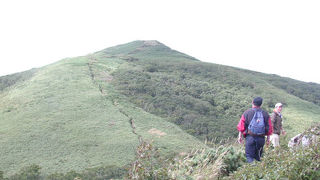 礼文岳山頂からの利尻富士、ぜひご覧下さい！