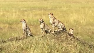 ロングドライブがオススメ