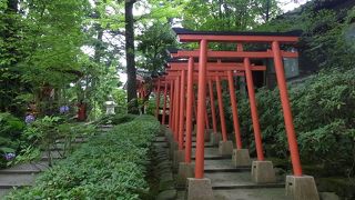 たくさんの赤い鳥居が印象的