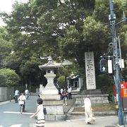 ご神木や髪にご利益ある神社など見どころ多数