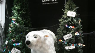 新千歳空港で動物園気分を味わえます