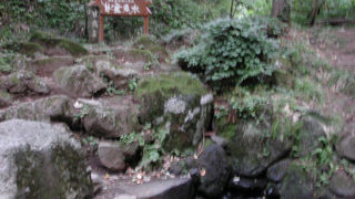 日本最北・利尻島の名水！甘露泉水でいれた珈琲がのみたい！