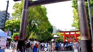 裏手に森があります