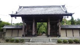 偶然通りがかりました