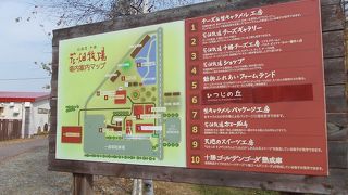 家族は喜んでいましたよ