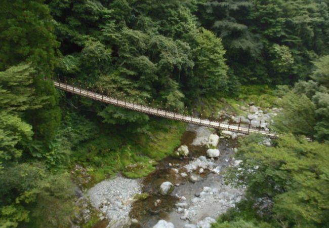 樅木吊橋