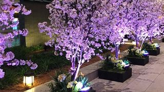 深夜でも賑やか