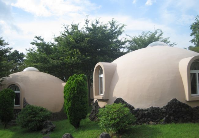 大自然阿蘇 健康の森 (阿蘇ファームヴィレッジ)