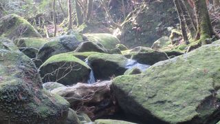 もののけ姫は知りませんが