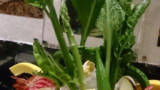 やさい料理がメインのお店です。