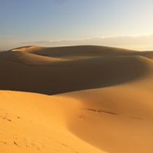 風が吹いて、幻想的な景色でした。