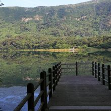 南桟橋からみた景色です。手前に池命名の由来である大路藻が見え