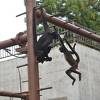 桐生が岡動物園