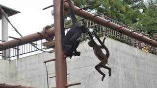 桐生が岡動物園