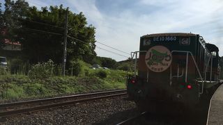 釧路湿原をのんびり眺めながら走ります！