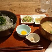 おすすめは駿河湾で採れた「生しらす丼」