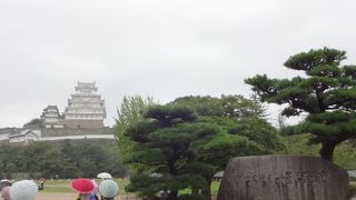 白い。その一言