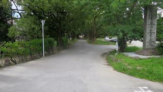 見るべきものはあります