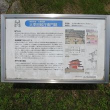 一度見て見たかったなぁ