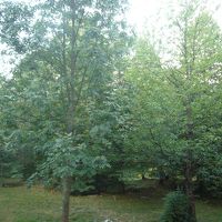 地下１Fのお部屋からの眺め