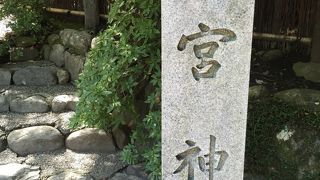 亀様のご利益あるかな？