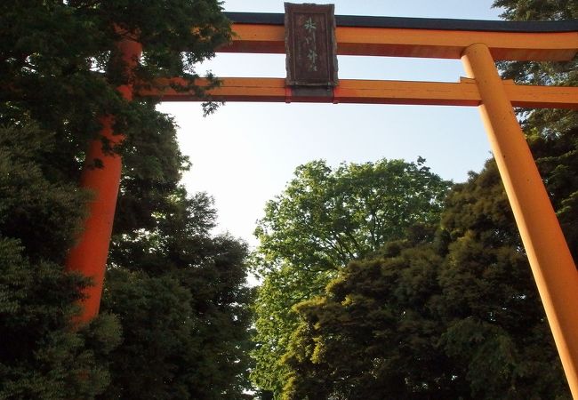 川越氷川神社