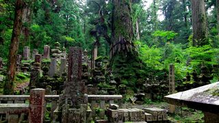 衝撃の光景！必見の地