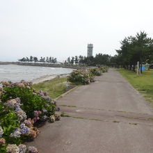 外ヶ浜町観瀾山公園海水浴場キャンプ場