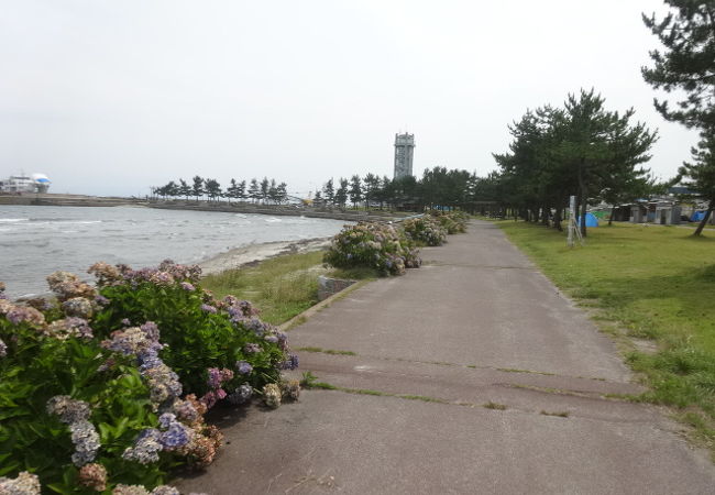 外ヶ浜町観瀾山公園海水浴場キャンプ場