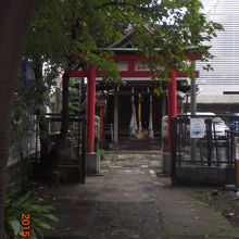 鳥居をくぐり、参道を進むと本社殿が見えてきます。