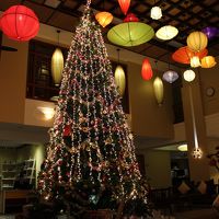 クリスマスあとでしたが、フロントのツリーがきれいでした