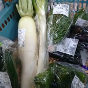 地産の野菜が安い