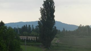 「ケンメリ」と云っても若い方には何のこっちゃわからないと思いますが...