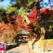 紅蓮の炎を纏う妙義神社／紅葉を見に修験道の神社へ行こう♪