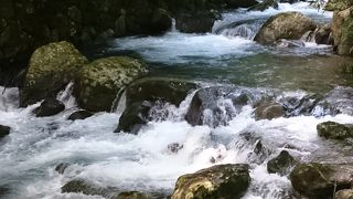 心地よい散策に