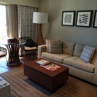 ソファベッドを引っ張り出すと、リビングとしての使用は無理