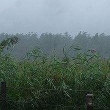 この日は残念ながら雨で視界が悪かった！