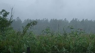 戦場ヶ原を見晴らせる見晴らし台に近くて、駐車場もあります