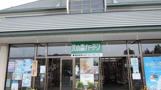 アイスバビリオンの近く