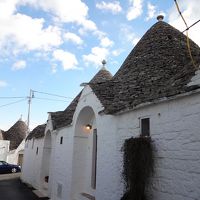 独特の屋根です