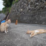 2015年8月末。島を１周する道はありません。斜面にそって集落があります。自転車もほとんど役に立たないでしょう。