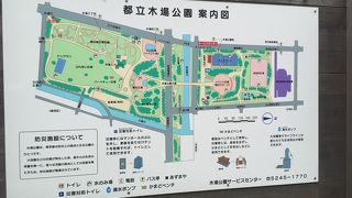 緑豊かな公園