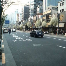 ４月で、通り沿いの梅の花がきれいでした。