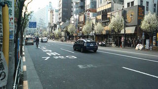 湯島駅近くの梅の花がきれいな商店街
