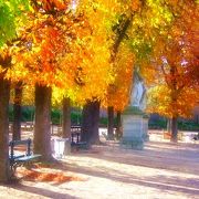 秋は黄葉が素敵です、左岸散歩の合間に是非!　Jardin du Luxembourg (6区)