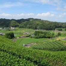 城跡から見る眺め
